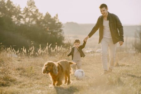 El Camino Hacia la Sobriedad: Cómo Prepararte para el Tratamiento de Internación